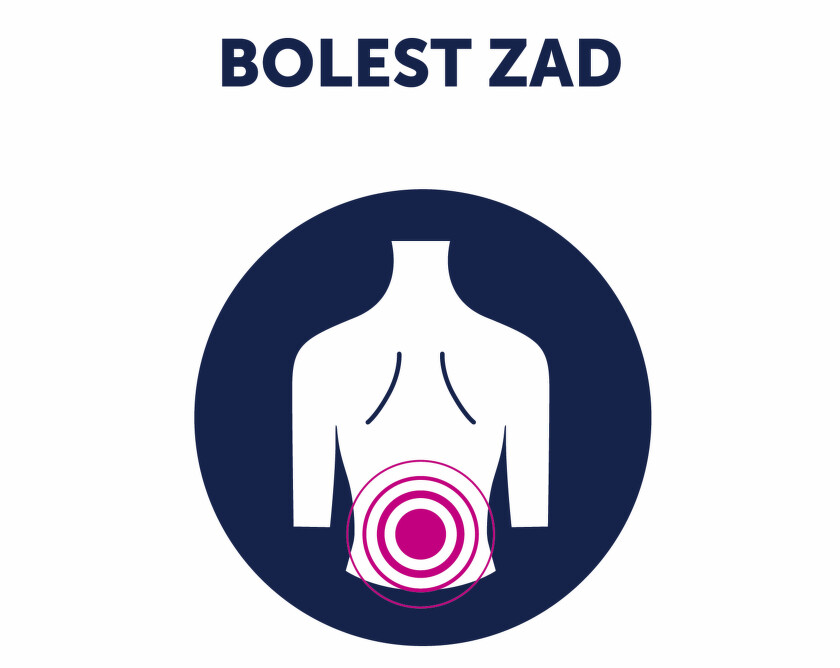 Bolest zad