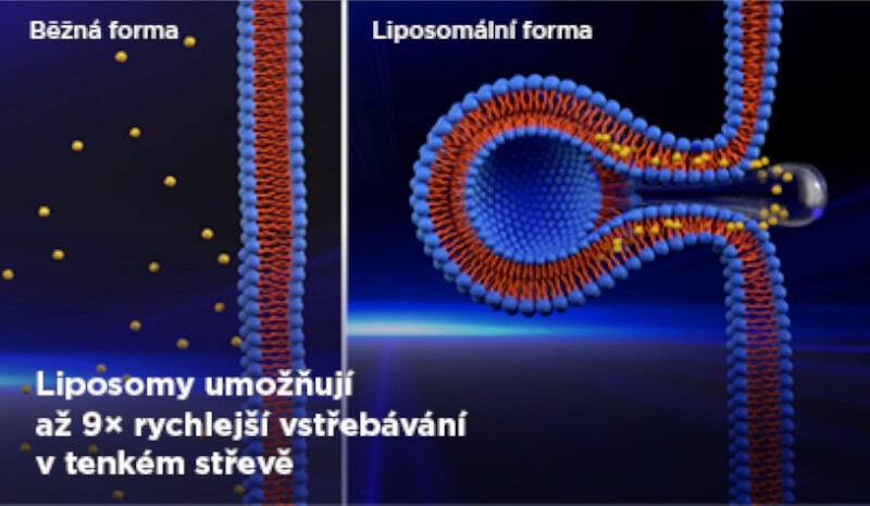 GS Koenzym Lipo Q10 Až 9× vyšší vstřebatelnost díky liposomům