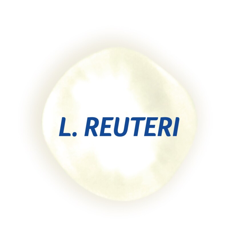BEBA_Bublina_L-Reuteri
