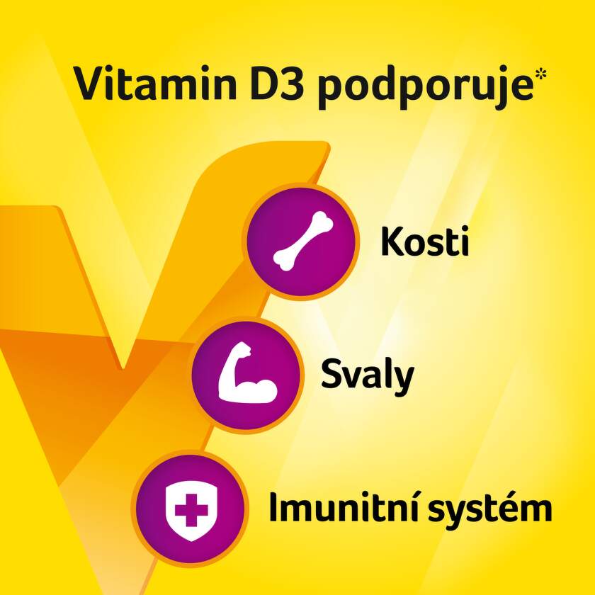 Vigantolvit_2000_Secondary_Image_01