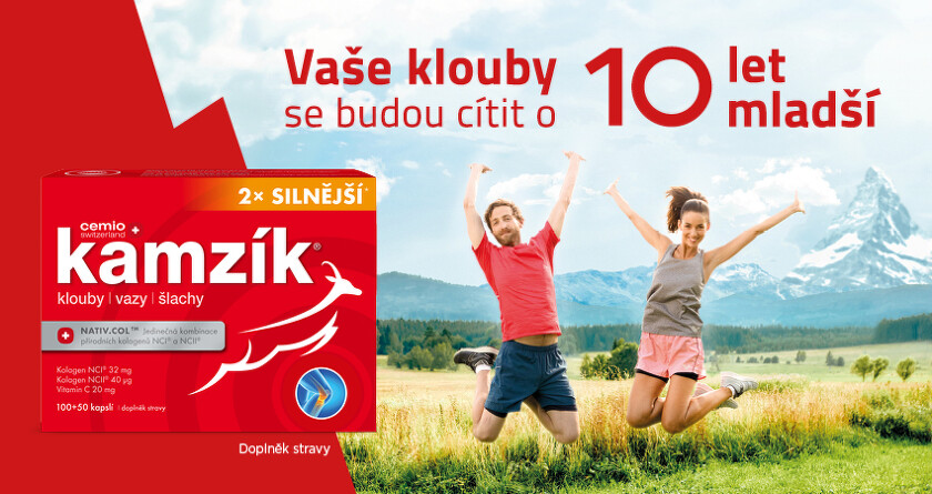 Kamzik