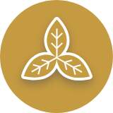 ken-ico-ben-3