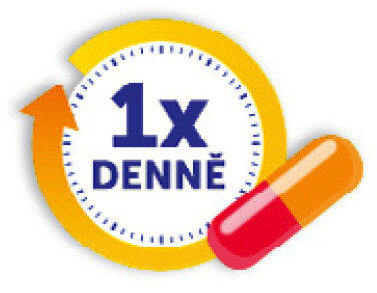1xdenne